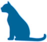 Katt